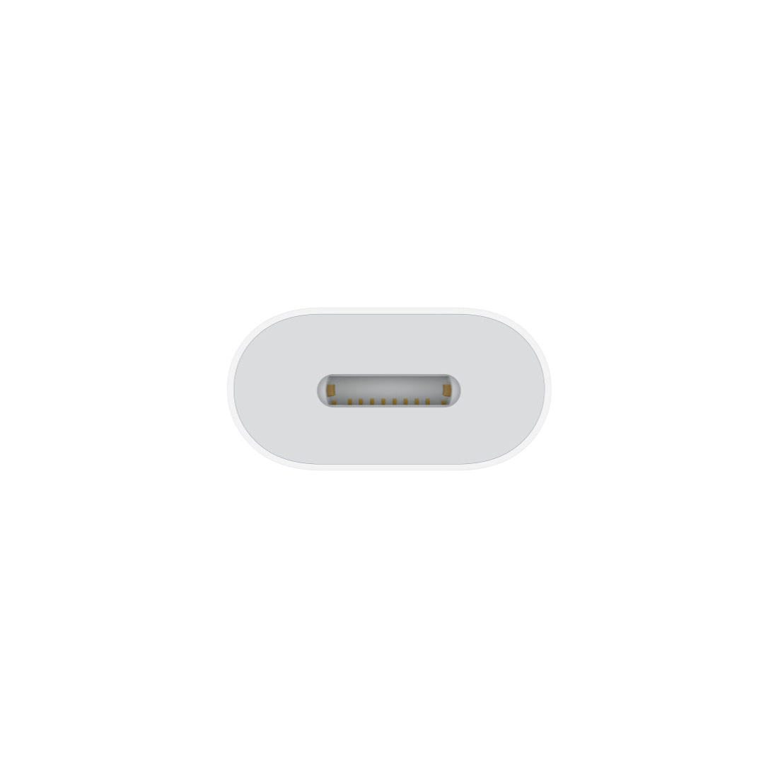 Apple USB-C to Lightning adapter (2023)