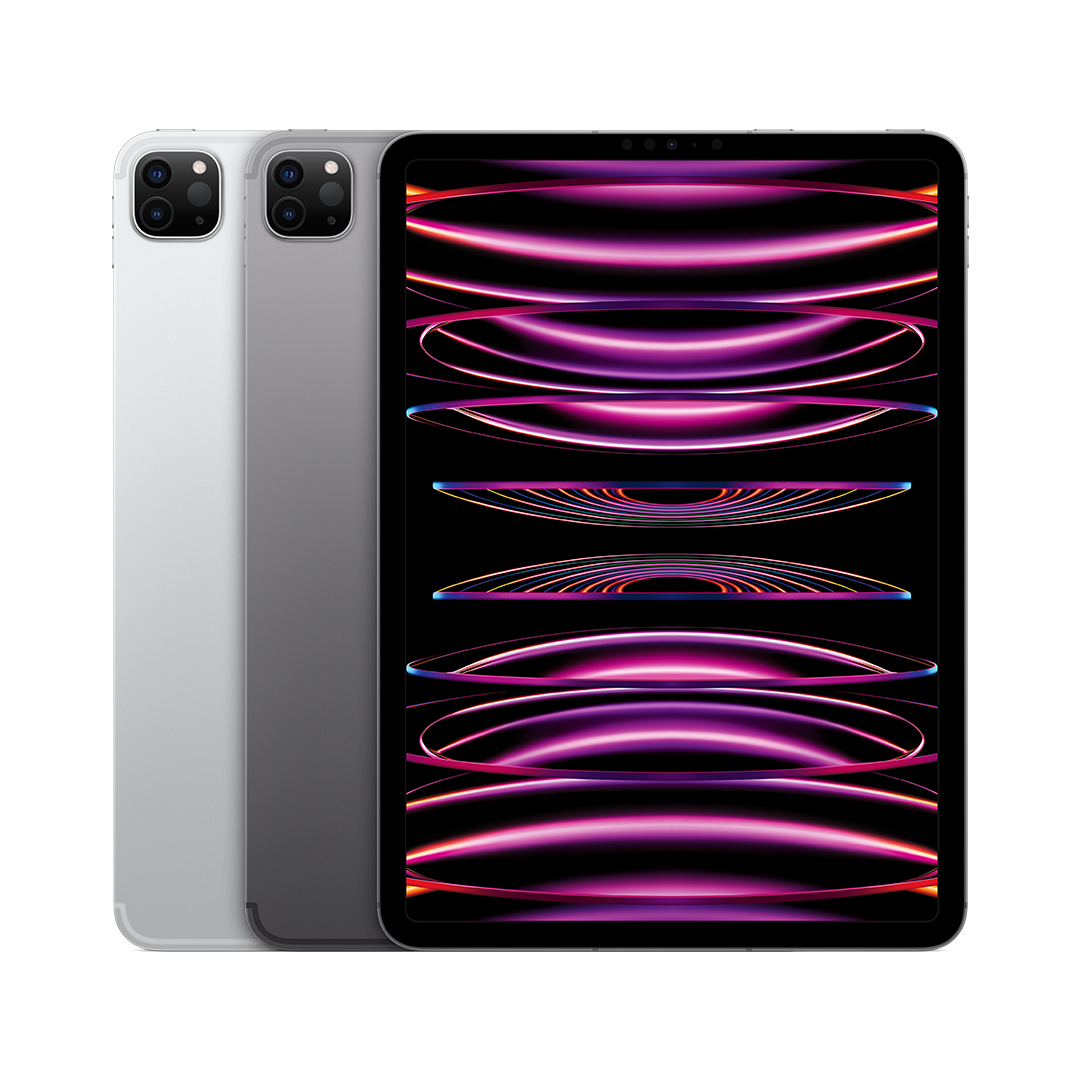 iPad Pro 11in (4th Gen)