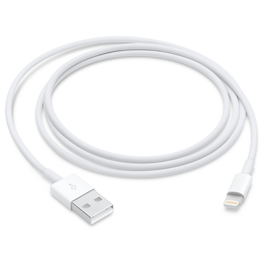 Apple Lightning to USB Cable (1 Meter)