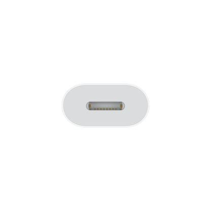 Apple USB-C to Lightning adapter (2023)