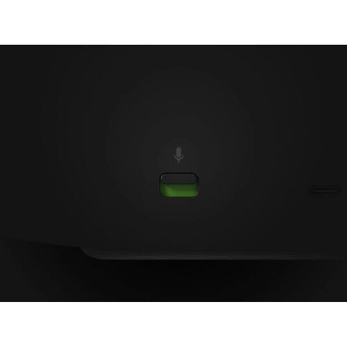 Sonos Era 300 US (Black)