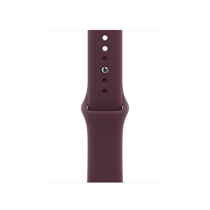 Apple Watch 42mm Sport Band