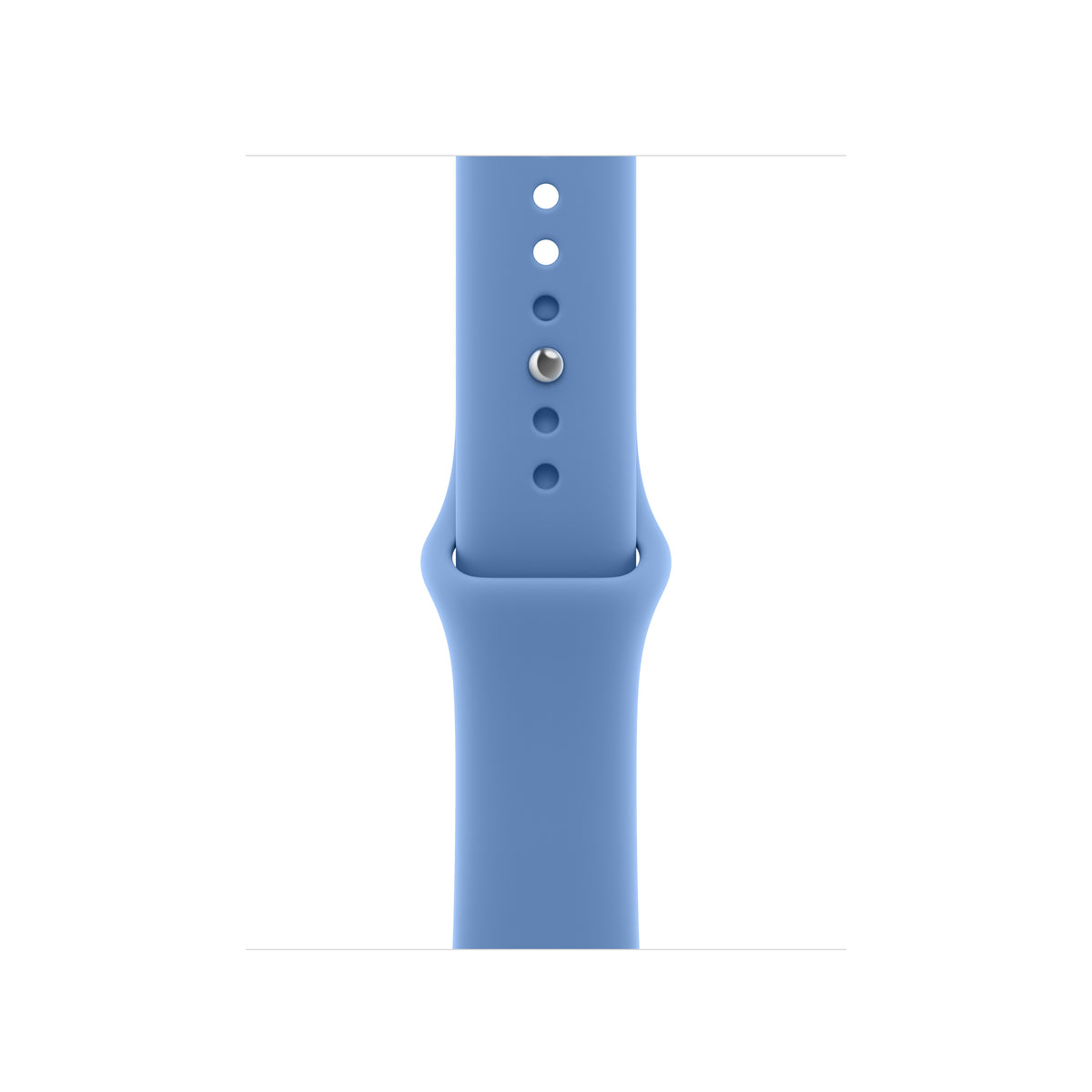 Apple Watch 40mm Sport Band