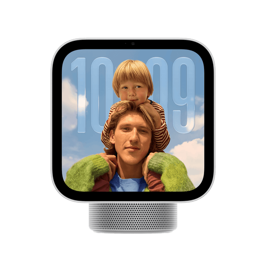 Apple HomeView - Silver