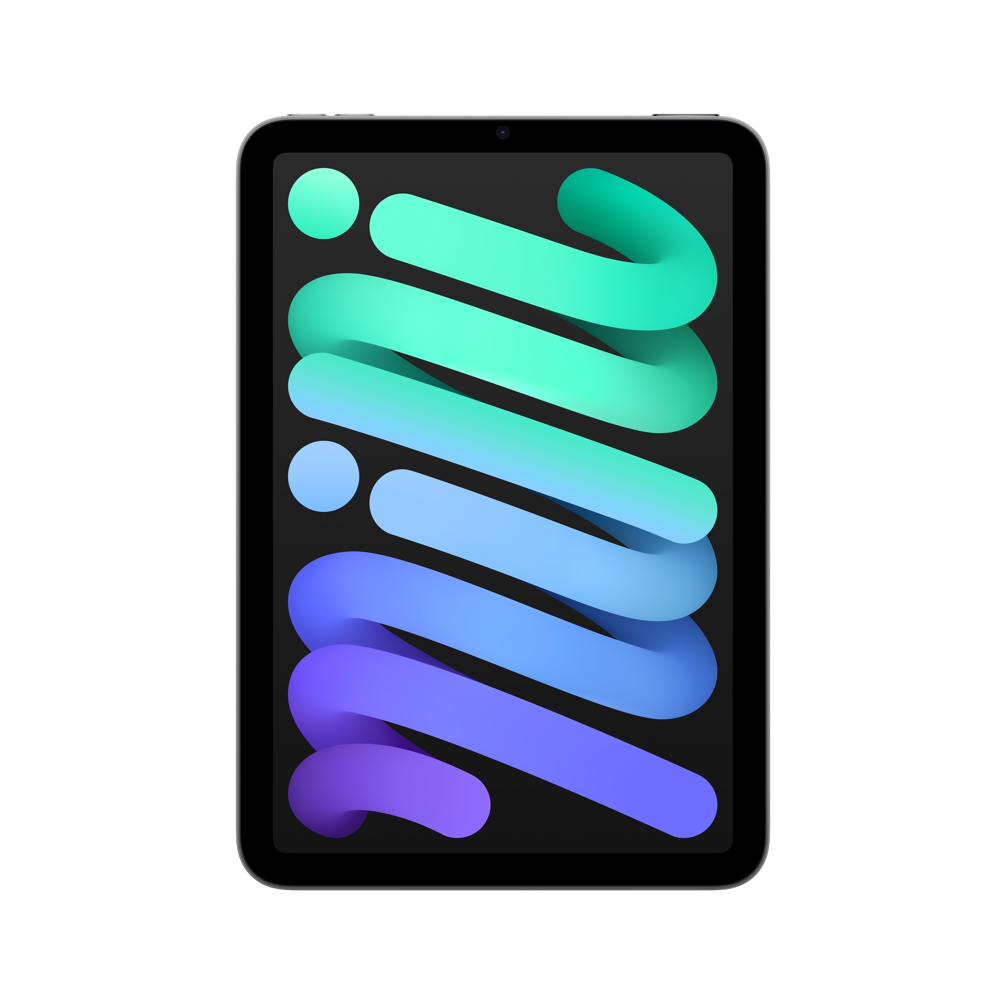 iPad mini – Small Dog Electronics