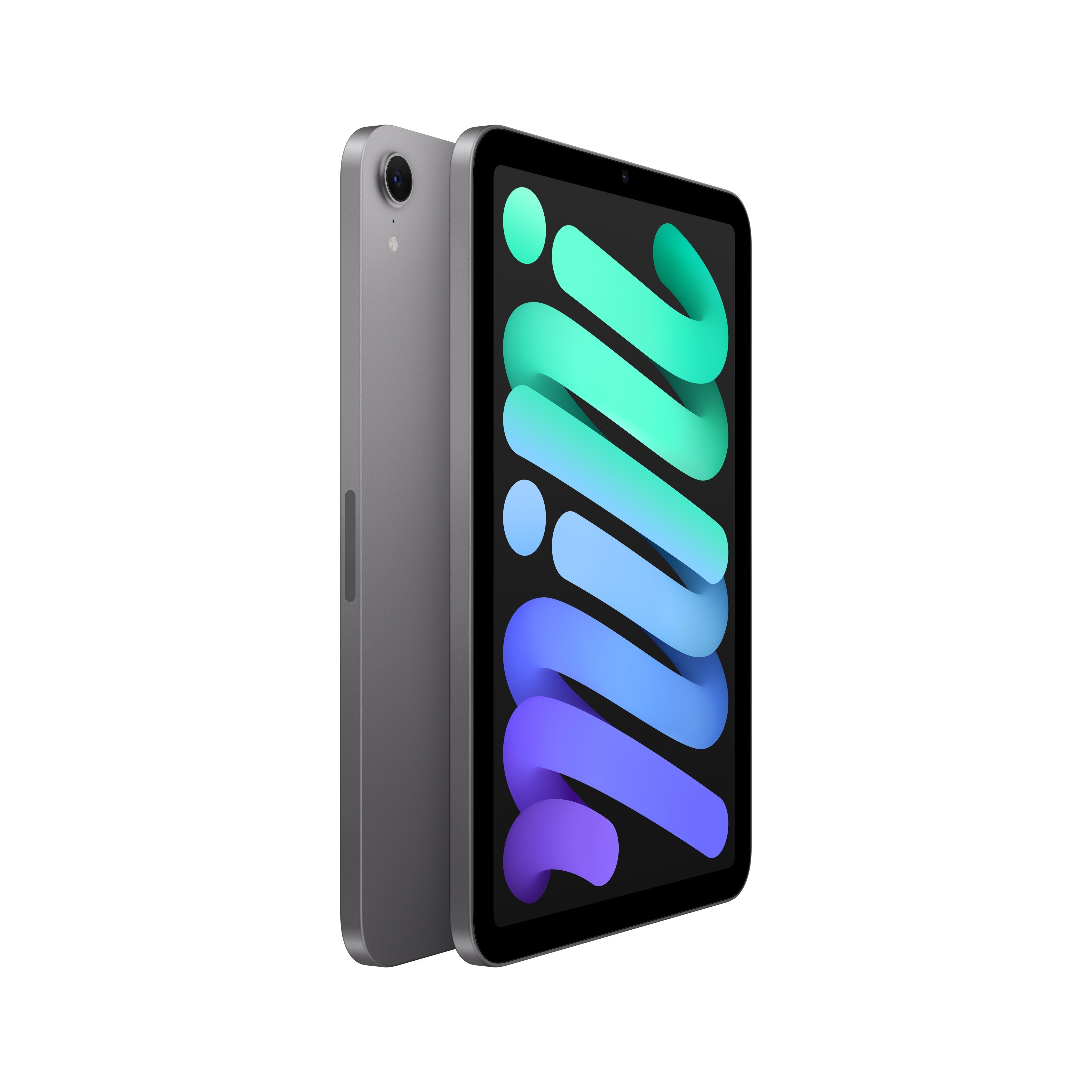 iPad mini – Small Dog Electronics