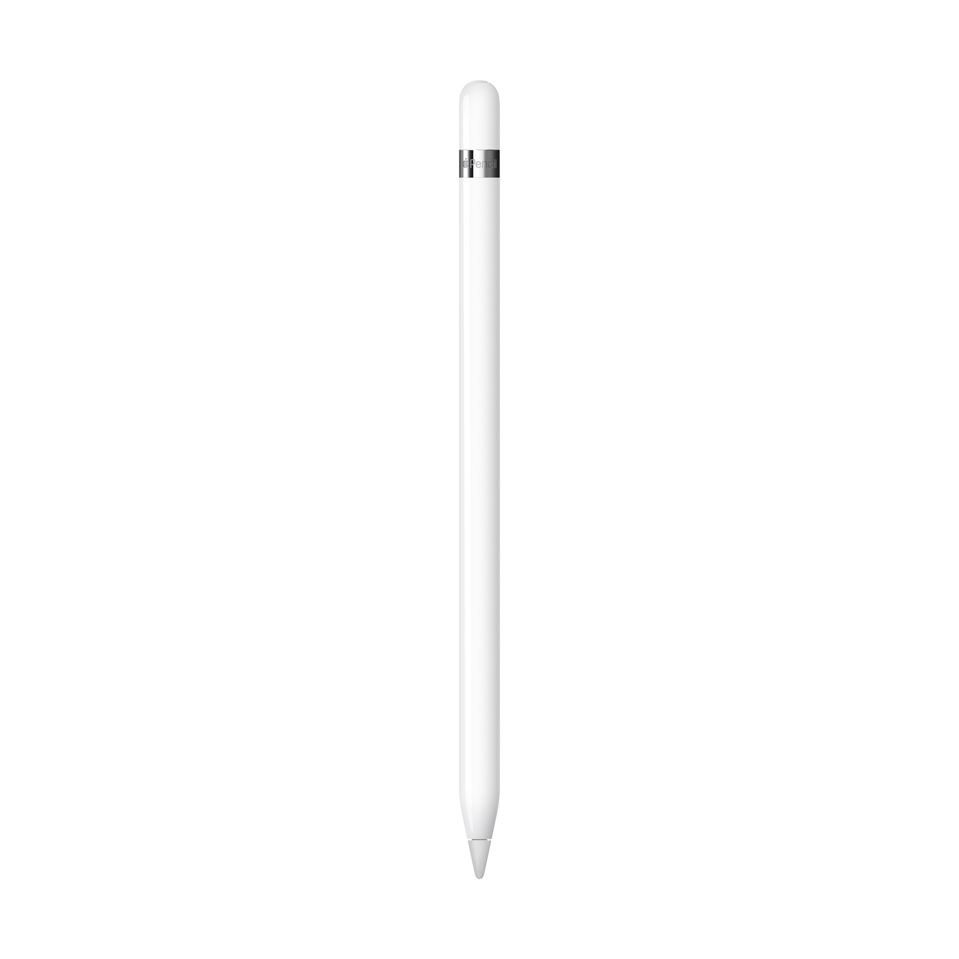 Apple Pencil (1st Generation) (Fall 2022) – Small Dog Electronics