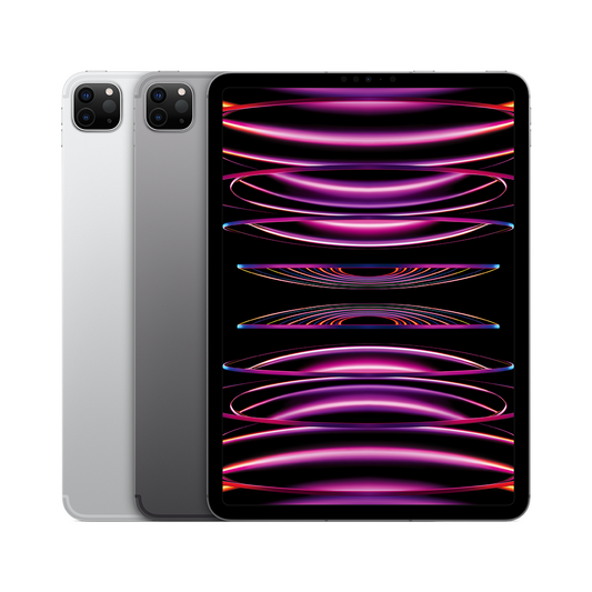 iPad Pro 11in (4th Gen)