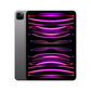 iPad Pro 11in (4th Gen)