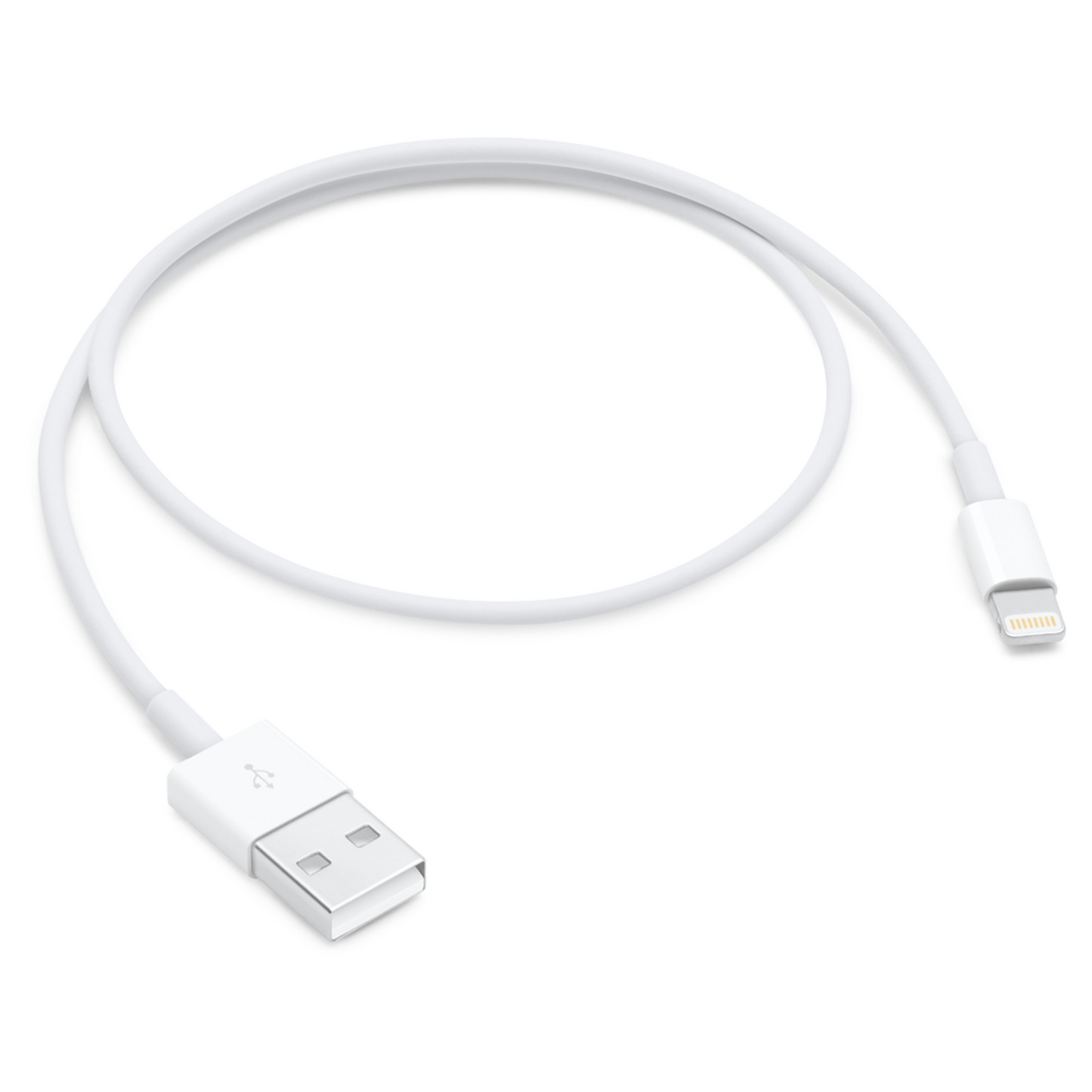 Apple Lightning to USB Cable (0.5 meter)