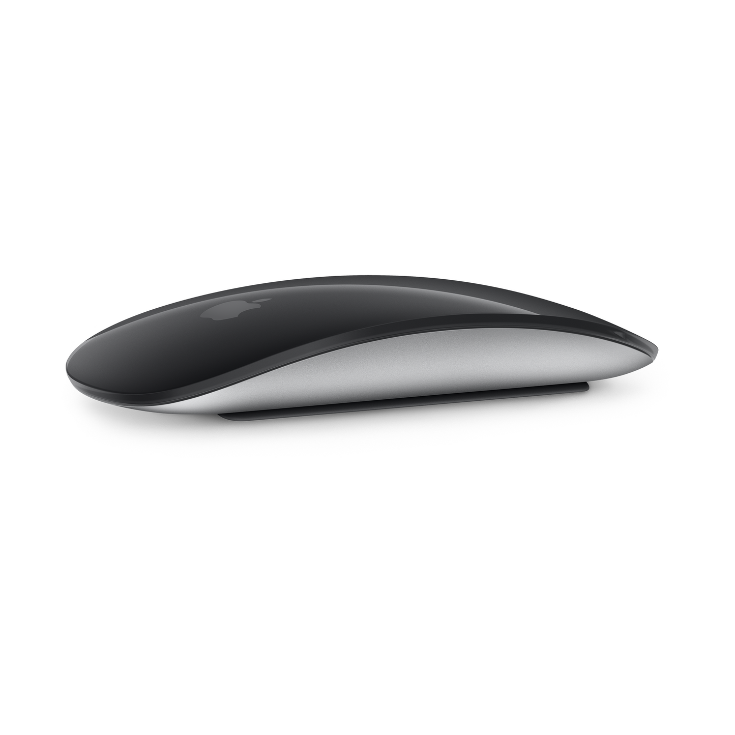 Magic Mouse - Black Multi-Touch Surface (2022)